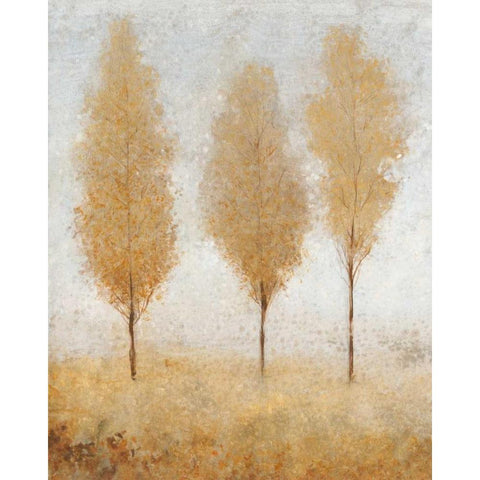 Autumn Springs I White Modern Wood Framed Art Print by OToole, Tim