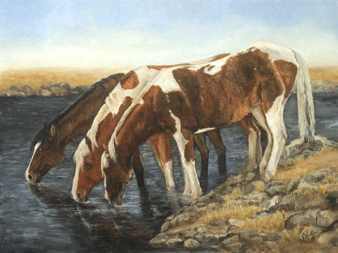 Tres Caballos White Modern Wood Framed Art Print with Double Matting by Winkler, Kathy