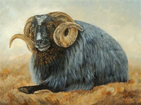 Baa Baa Black Sheep Black Ornate Wood Framed Art Print with Double Matting by Winkler, Kathy