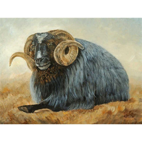 Baa Baa Black Sheep Black Modern Wood Framed Art Print by Winkler, Kathy