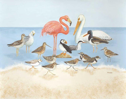 Seabird Summit Black Ornate Wood Framed Art Print with Double Matting by Russell, Wendy