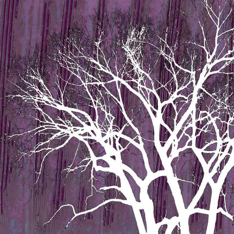 Small Aurora Silhouette I White Modern Wood Framed Art Print by Ludwig, Alicia