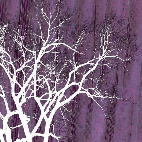 Small Aurora Silhouette II White Modern Wood Framed Art Print by Ludwig, Alicia