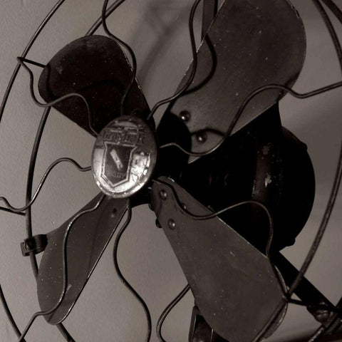 Vintage Fan Study V Black Ornate Wood Framed Art Print with Double Matting by Stramel, Renee W.