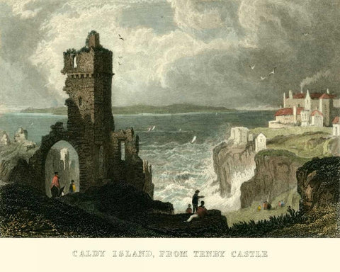 Caldy Island, from Tenby Castle Black Ornate Wood Framed Art Print with Double Matting by Allom, T.