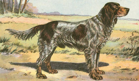 Mans Best Friend II Black Ornate Wood Framed Art Print with Double Matting by Unknown