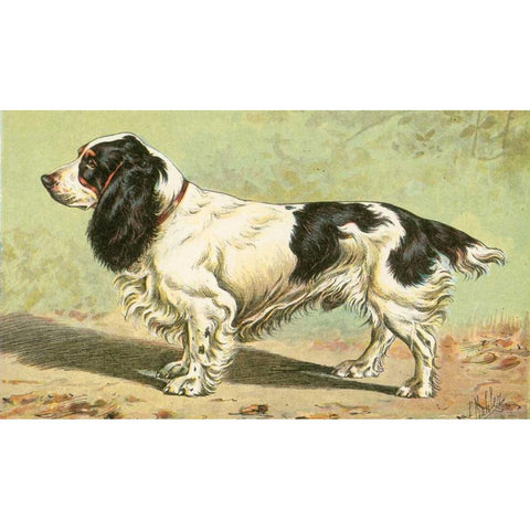 Mans Best Friend V Black Modern Wood Framed Art Print with Double Matting by Unknown