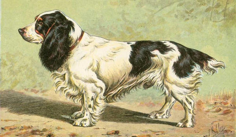 Mans Best Friend V Black Ornate Wood Framed Art Print with Double Matting by Unknown