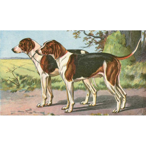 Mans Best Friend VII Gold Ornate Wood Framed Art Print with Double Matting by Unknown