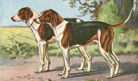 Mans Best Friend VII Black Ornate Wood Framed Art Print with Double Matting by Unknown