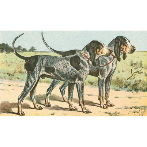 Mans Best Friend VIII White Modern Wood Framed Art Print by Unknown