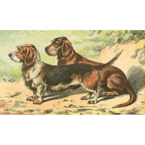 Mans Best Friend IX Gold Ornate Wood Framed Art Print with Double Matting by Unknown