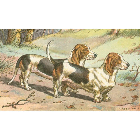 Mans Best Friend X White Modern Wood Framed Art Print by Unknown