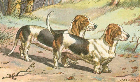 Mans Best Friend X White Modern Wood Framed Art Print with Double Matting by Unknown