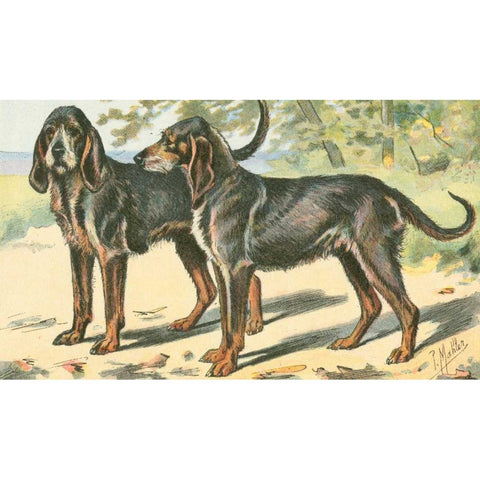 Mans Best Friend XI Gold Ornate Wood Framed Art Print with Double Matting by Unknown
