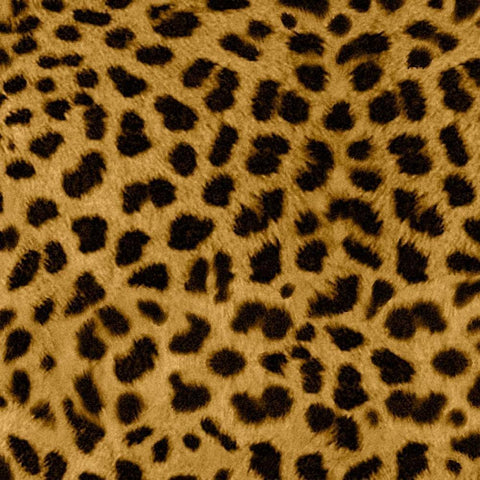 Animal Instinct I White Modern Wood Framed Art Print with Double Matting by Vision Studio