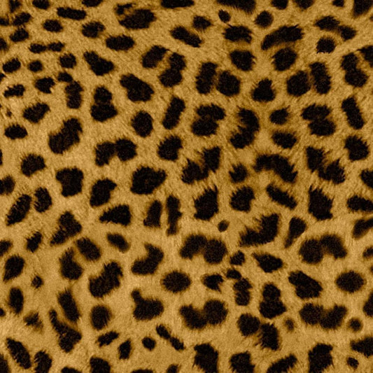 Image Only