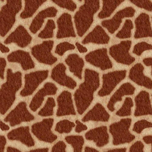 Image Only