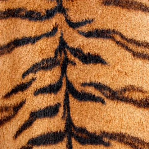 Animal Instinct III White Modern Wood Framed Art Print with Double Matting by Vision Studio