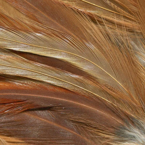 Animal Instinct IV White Modern Wood Framed Art Print with Double Matting by Vision Studio