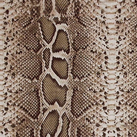 Animal Instinct V Black Modern Wood Framed Art Print by Vision Studio