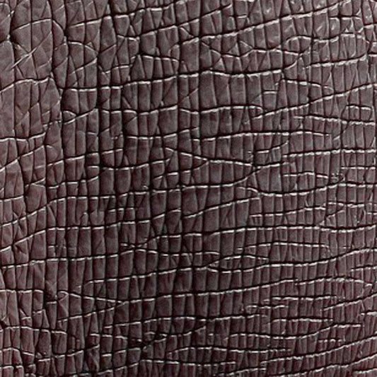 Image Only