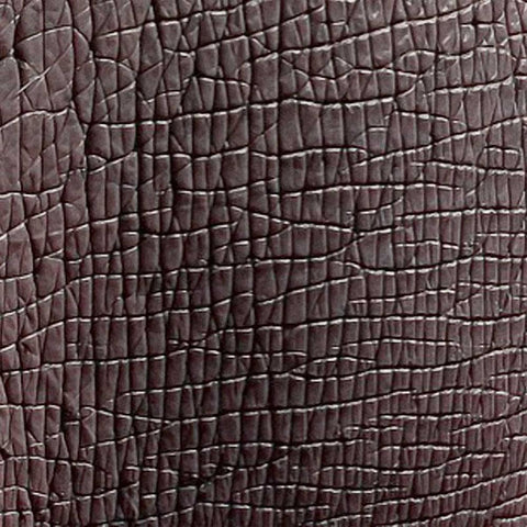 Animal Instinct IX Black Modern Wood Framed Art Print by Vision Studio