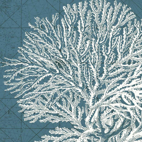 Coastal Menagerie I Black Modern Wood Framed Art Print by Vision Studio