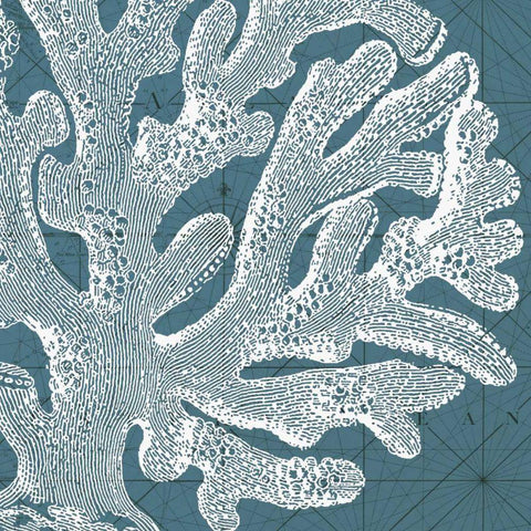 Coastal Menagerie II Black Modern Wood Framed Art Print by Vision Studio