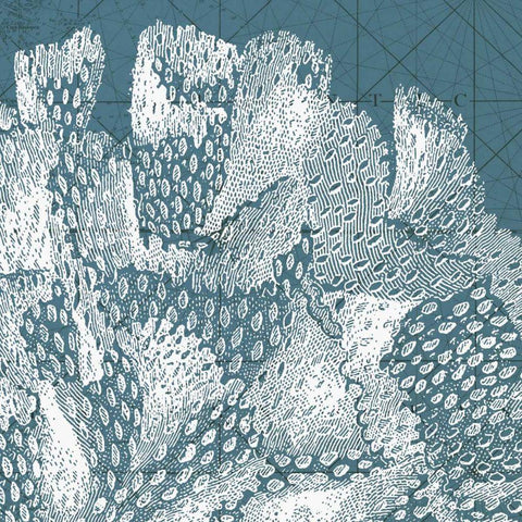 Coastal Menagerie III White Modern Wood Framed Art Print by Vision Studio