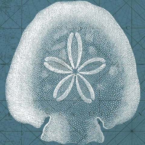 Coastal Menagerie IV Gold Ornate Wood Framed Art Print with Double Matting by Vision Studio