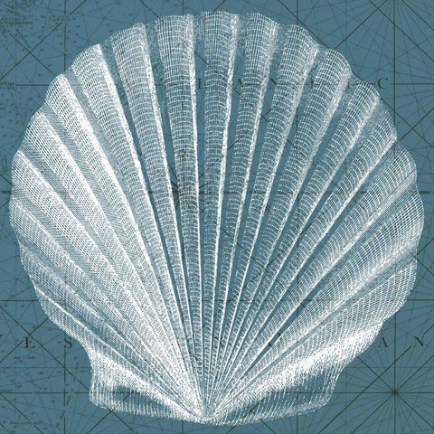 Coastal Menagerie V Gold Ornate Wood Framed Art Print with Double Matting by Vision Studio