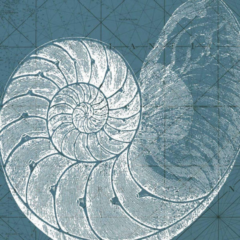 Coastal Menagerie VI Gold Ornate Wood Framed Art Print with Double Matting by Vision Studio