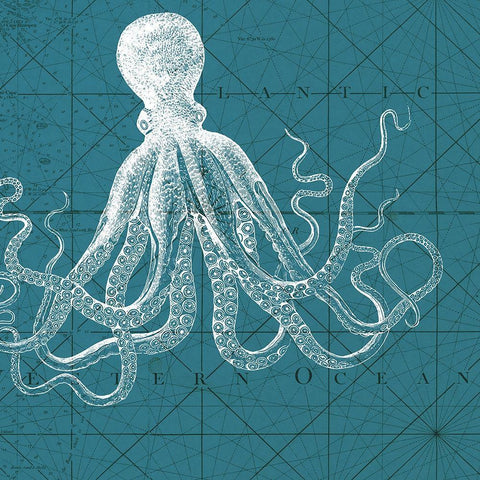 Coastal Menagerie VII White Modern Wood Framed Art Print with Double Matting by Vision Studio