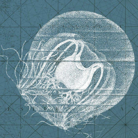 Coastal Menagerie IX Black Ornate Wood Framed Art Print with Double Matting by Vision Studio