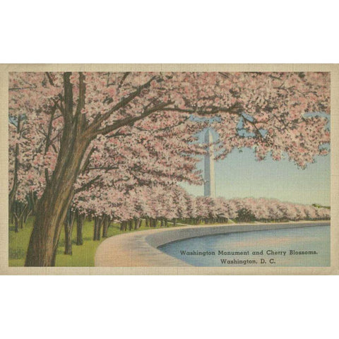 Wash. Monument and Cherry Blossoms Gold Ornate Wood Framed Art Print with Double Matting by Unknown