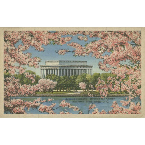 Lincoln Memorial and Cherry Blossoms Black Modern Wood Framed Art Print with Double Matting by Unknown