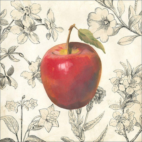 Apple and Botanicals Black Modern Wood Framed Art Print with Double Matting by Meagher, Megan