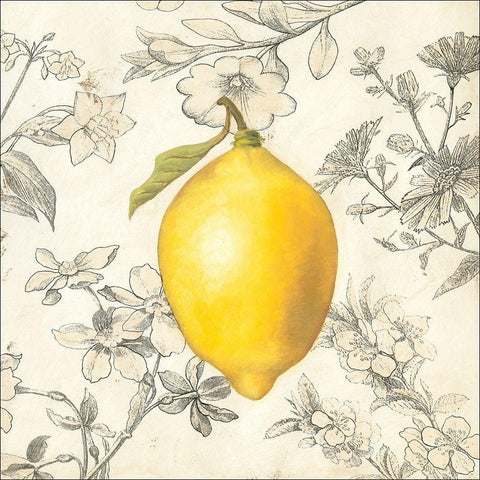 Lemon and Botanicals White Modern Wood Framed Art Print with Double Matting by Meagher, Megan