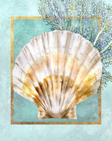 Scallop Shell and Coral White Modern Wood Framed Art Print with Double Matting by Schory, Lori