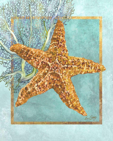 Starfish and Coral White Modern Wood Framed Art Print with Double Matting by Schory, Lori