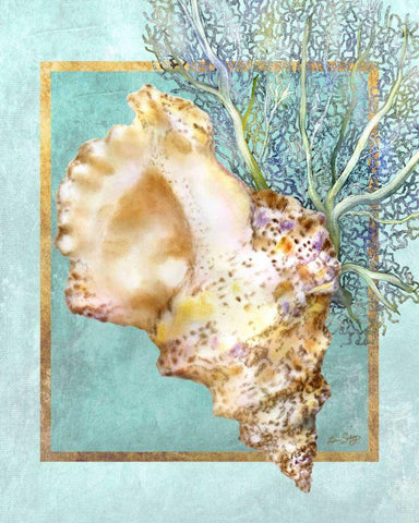 Conch Shell and Coral Black Ornate Wood Framed Art Print with Double Matting by Schory, Lori