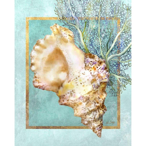 Conch Shell and Coral Gold Ornate Wood Framed Art Print with Double Matting by Schory, Lori