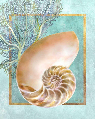 Nautilus Shell and Coral White Modern Wood Framed Art Print with Double Matting by Schory, Lori