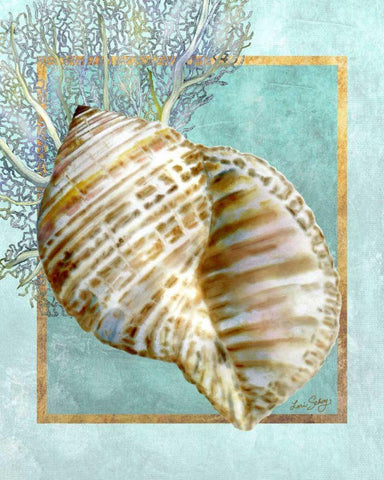 Turban Shell and Coral Black Ornate Wood Framed Art Print with Double Matting by Schory, Lori