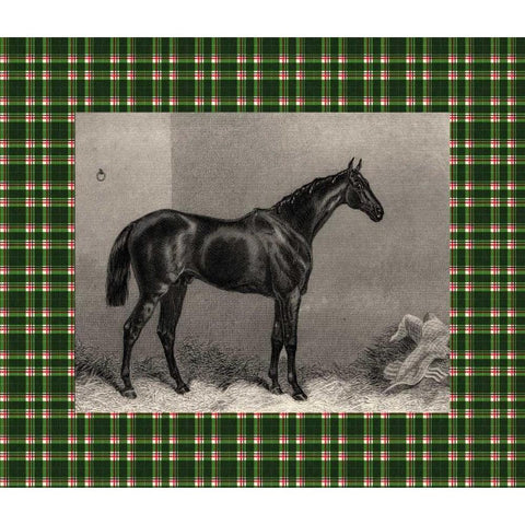 Equestrian Plaid I White Modern Wood Framed Art Print by Hacker, E.