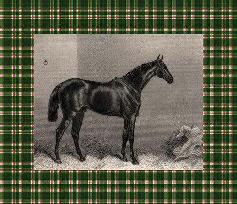 Equestrian Plaid I Black Ornate Wood Framed Art Print with Double Matting by Hacker, E.
