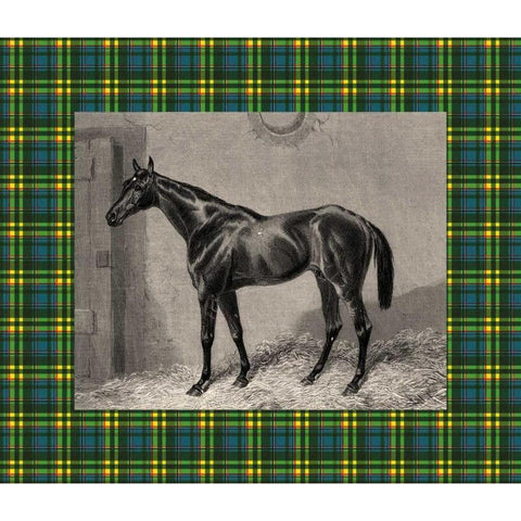 Equestrian Plaid II Black Modern Wood Framed Art Print with Double Matting by Hacker, E.
