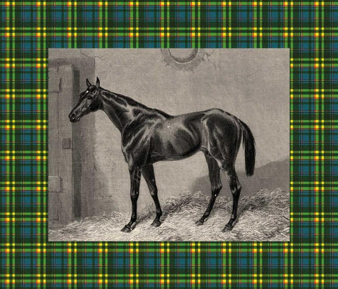 Equestrian Plaid II White Modern Wood Framed Art Print with Double Matting by Hacker, E.