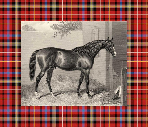 Equestrian Plaid III Black Ornate Wood Framed Art Print with Double Matting by Hacker, E.